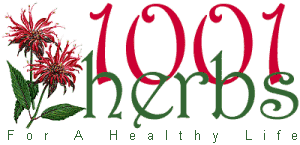 1001 Herbs -- For a Healthy Life